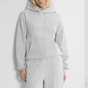 Aritzia Gray Women's Hoodie